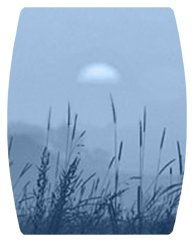 DAREC 334 BL Harvest Sunrise Blue